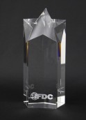 Crystal Rising Star Award  41C