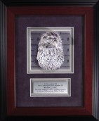 FR48 Eagle Framed award plaque