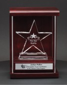 Crystal Star Award 14C